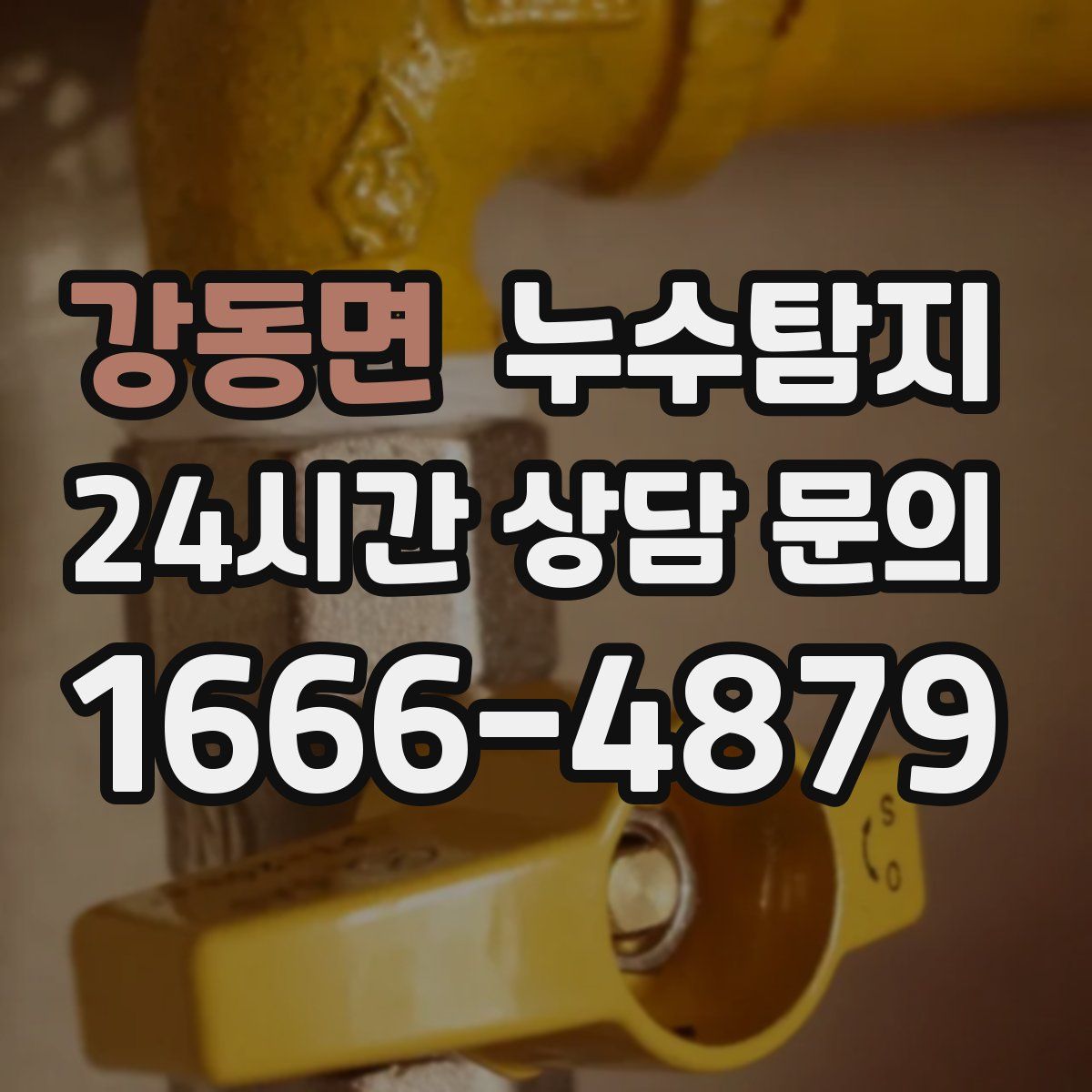 누수탐지