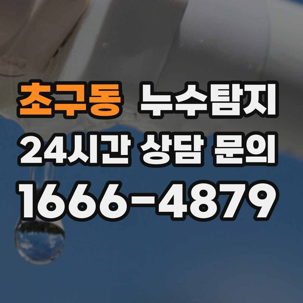 초구동 누수탐지 상가 영업 중 조용한 점검기
