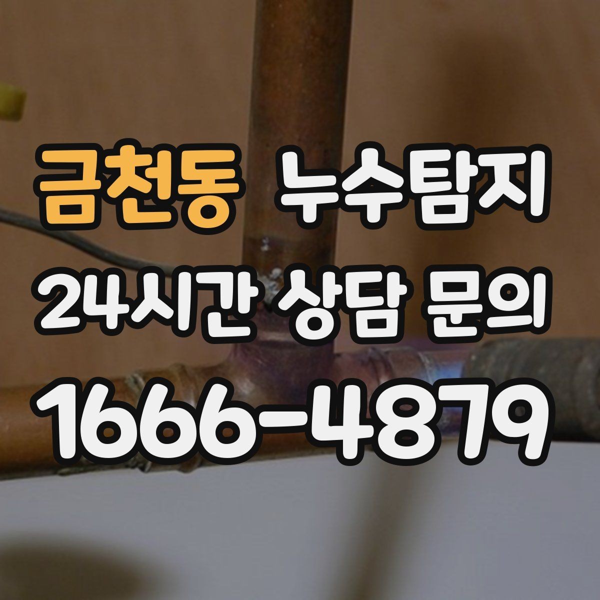 금천동 누수탐지 우리 집 맞춤 복구 설계