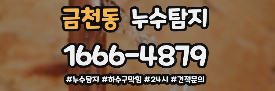 누수닥터 누수탐지