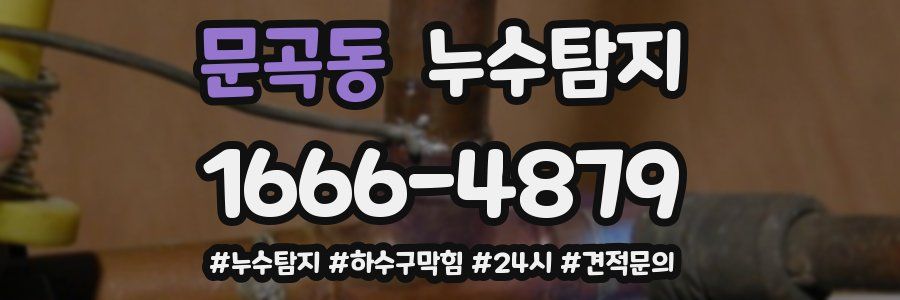누수닥터 누수탐지