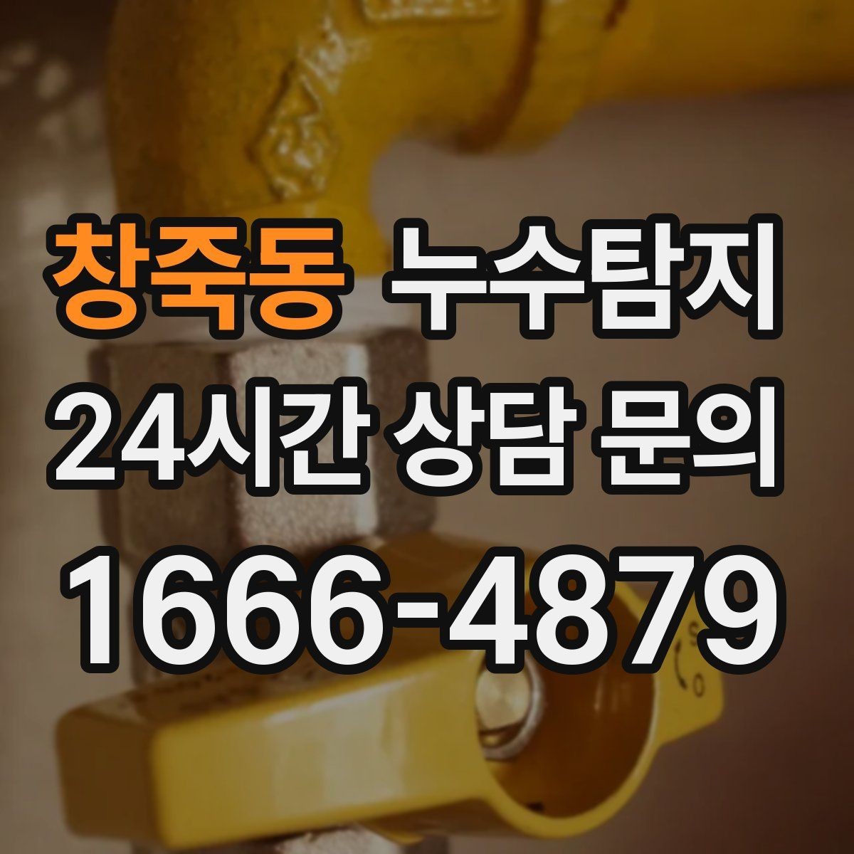창죽동 누수탐지 상가 영업 중 조용한 점검기