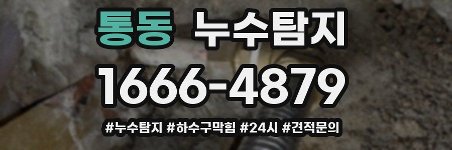 누수닥터 누수탐지