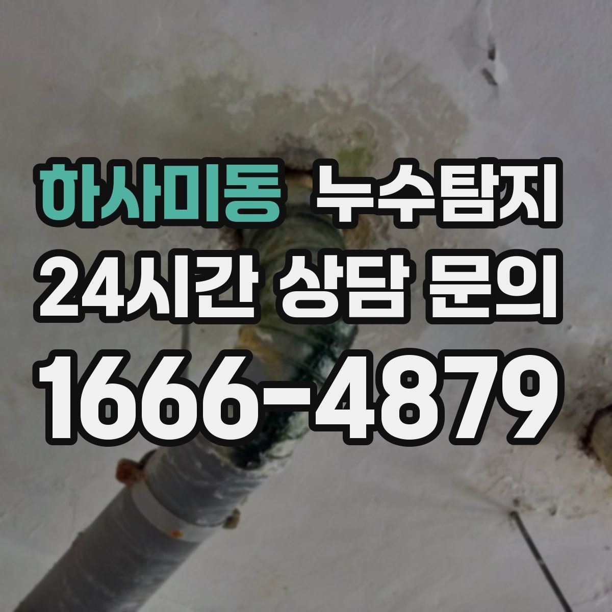 하사미동 누수탐지 드레스룸 곰팡이 없앤 하루