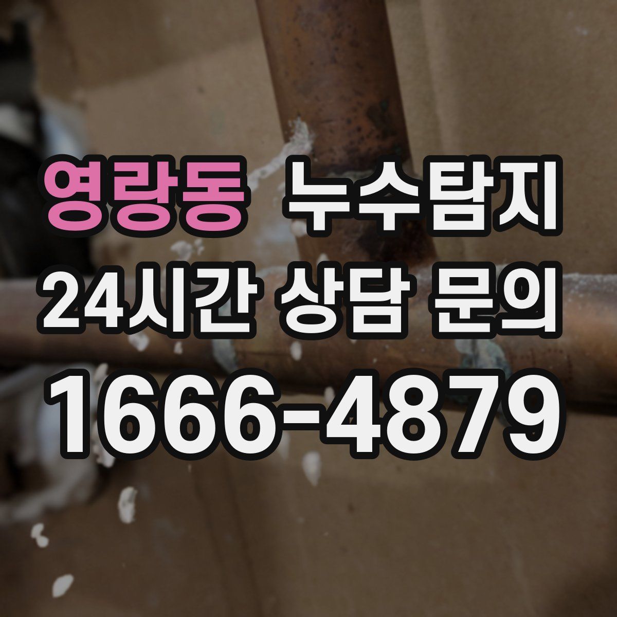 누수탐지