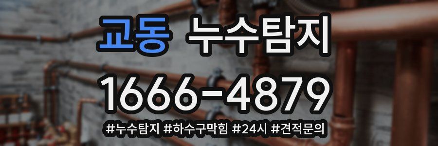 누수닥터 누수탐지