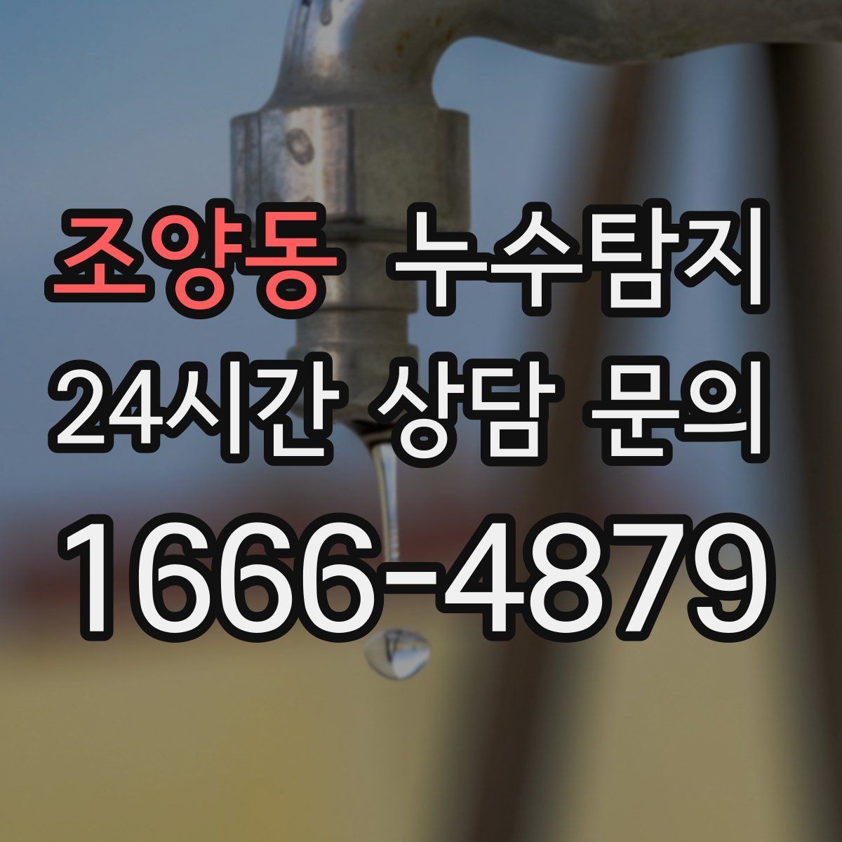조양동 누수탐지 다음 계절을 위한 점검 메모