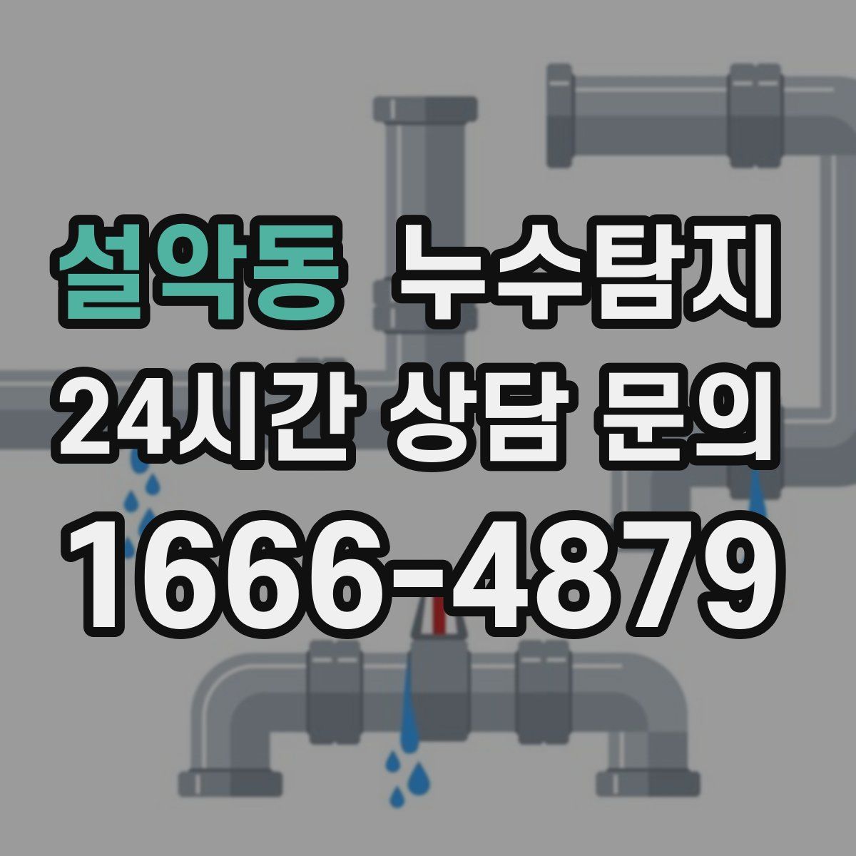 누수탐지