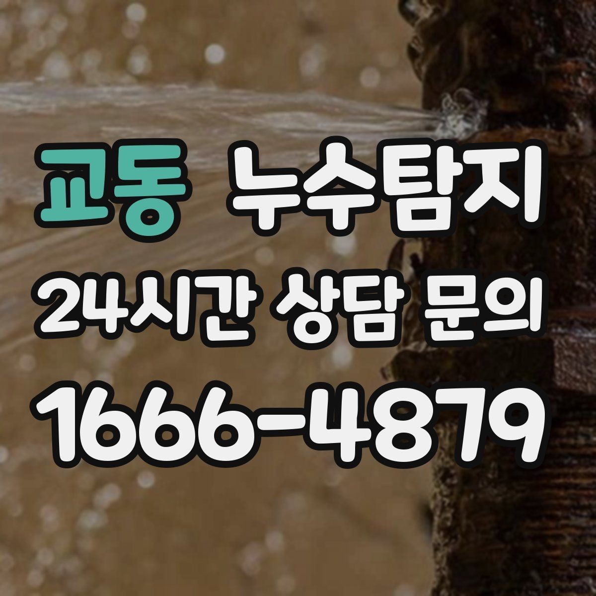 교동 누수탐지 전문가와 함께한 현장 진단 이야기