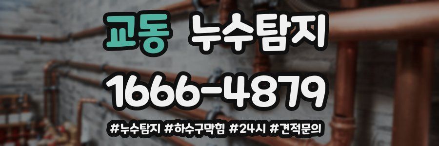 누수닥터 누수탐지