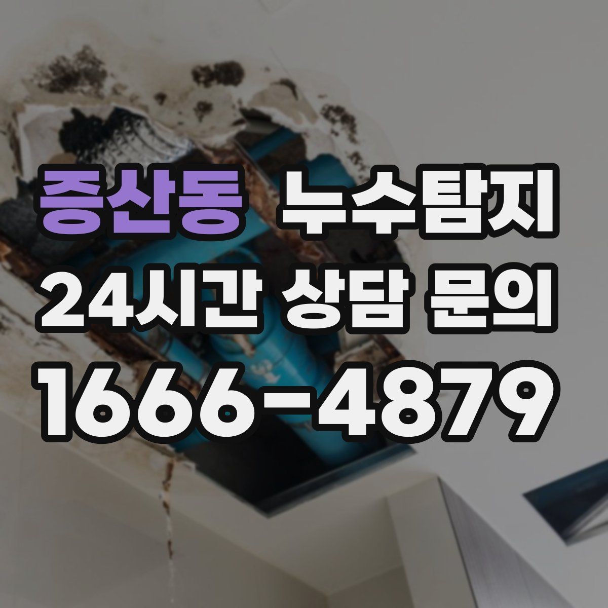 증산동 누수탐지 아이 방 곰팡이 원인 끝까지 추적