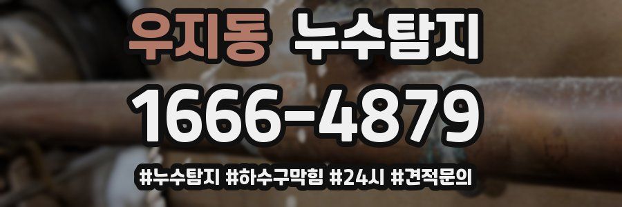 누수닥터 누수탐지