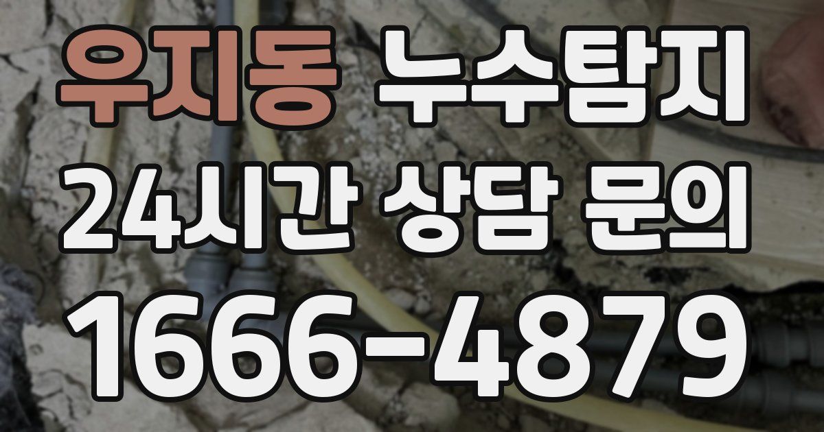 하수구막힘