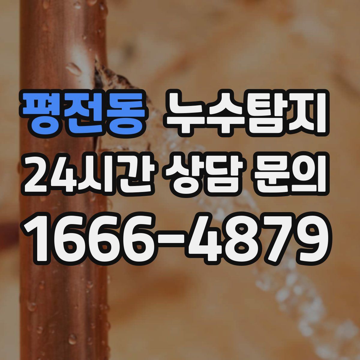 누수탐지