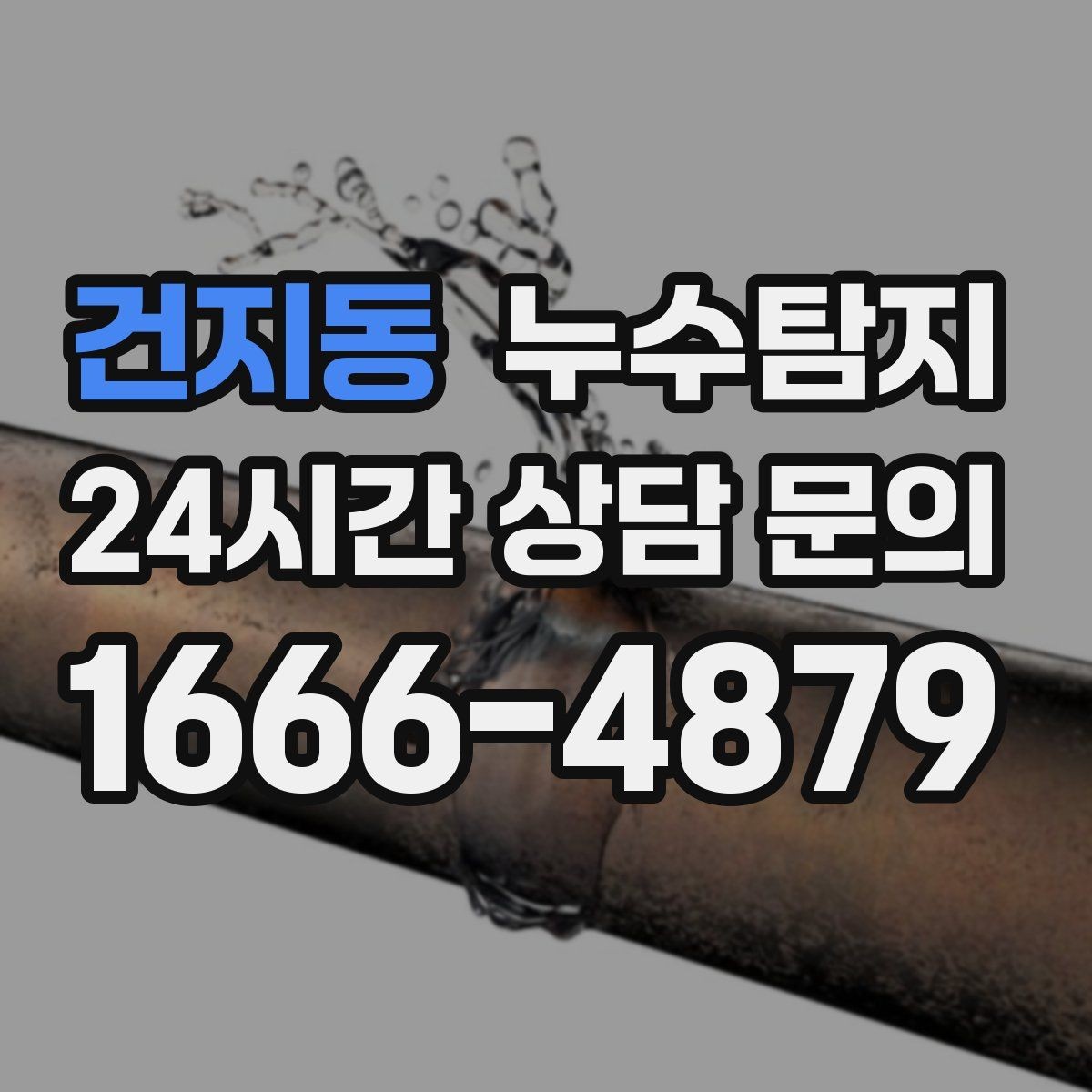 건지동 누수탐지 가구 뒤 곰팡이 원인 파헤치기