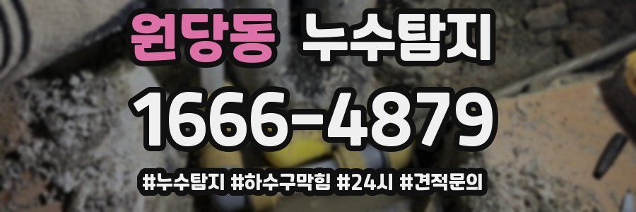 누수닥터 누수탐지