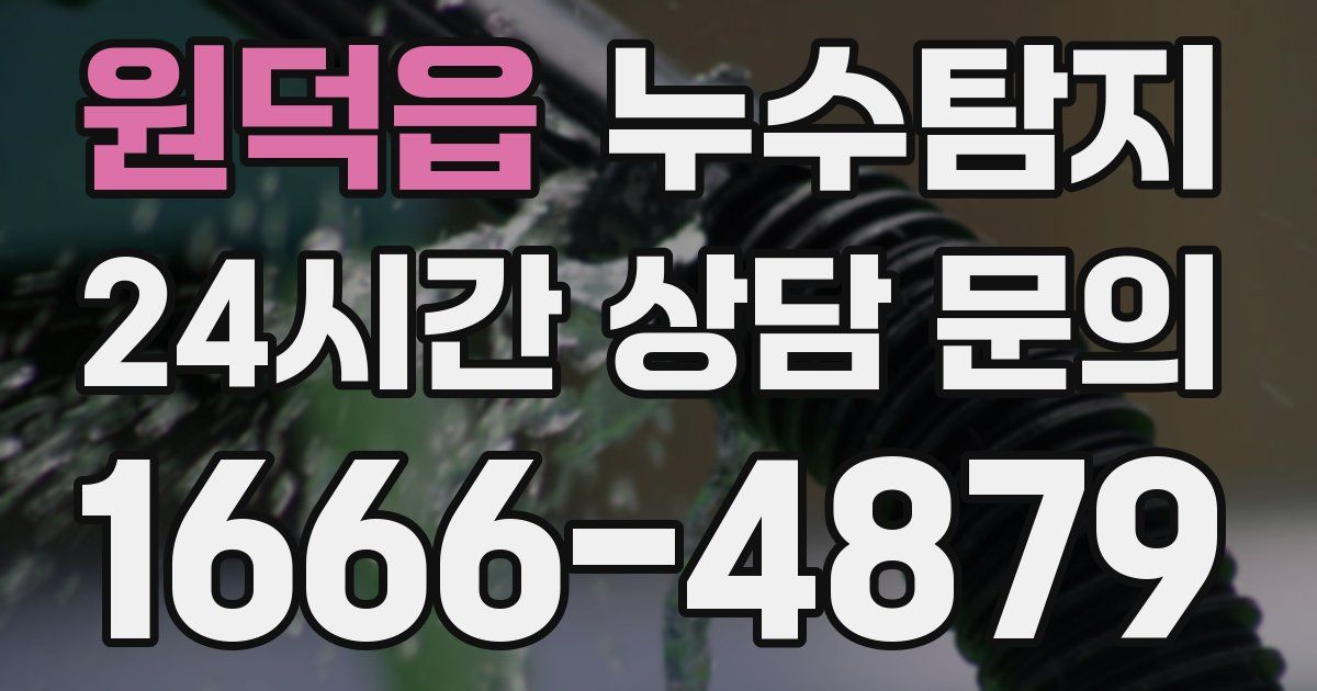 하수구막힘