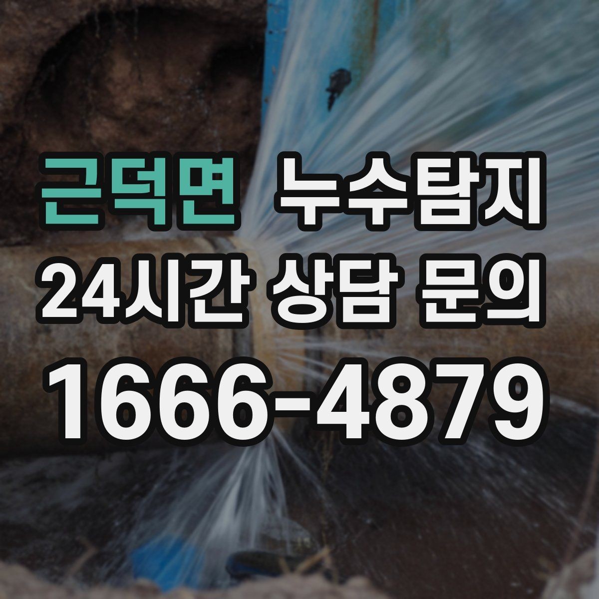 근덕면 누수탐지 장판 들뜸 해결까지의 기록