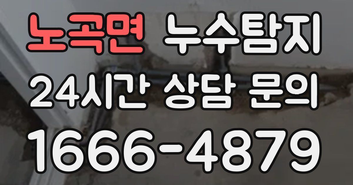 하수구막힘