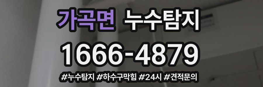 누수닥터 누수탐지