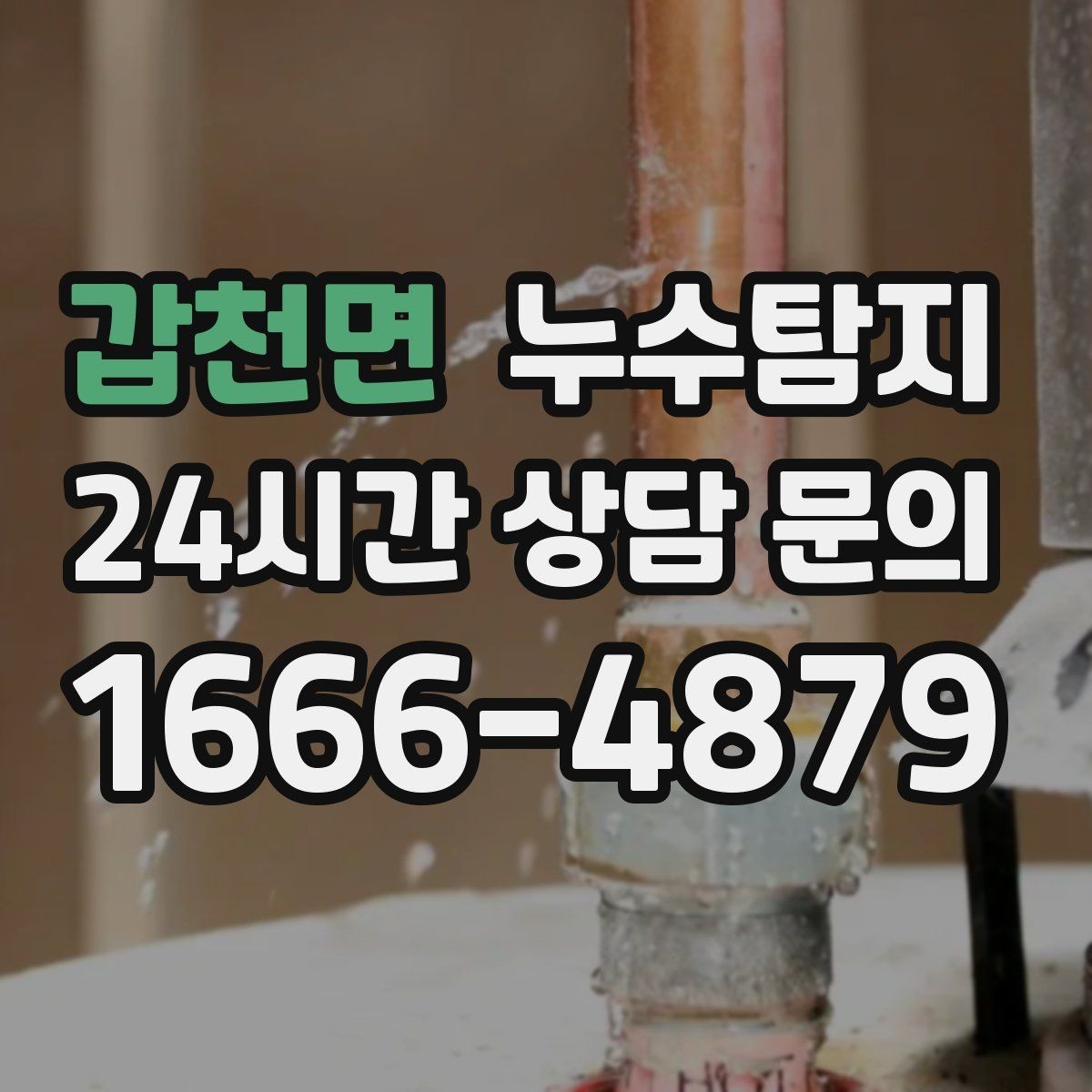 갑천면 누수탐지 외벽 침투수 초기 대응 기록