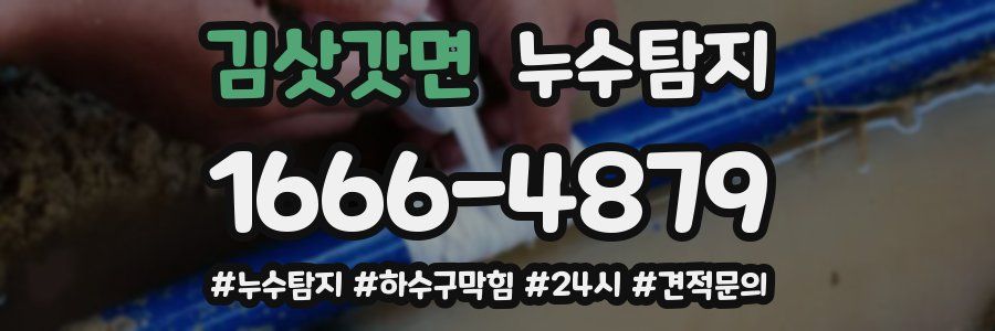 누수닥터 누수탐지