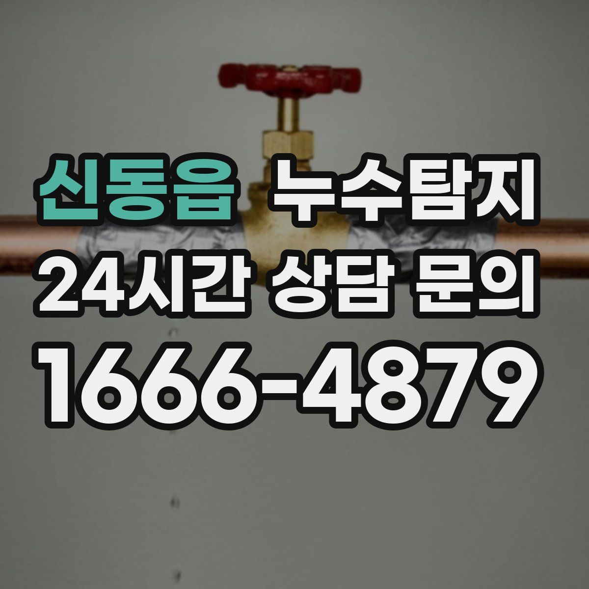 누수탐지