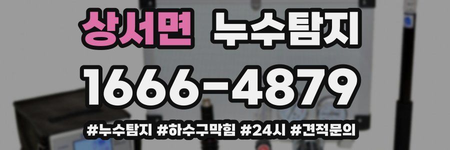 누수닥터 누수탐지
