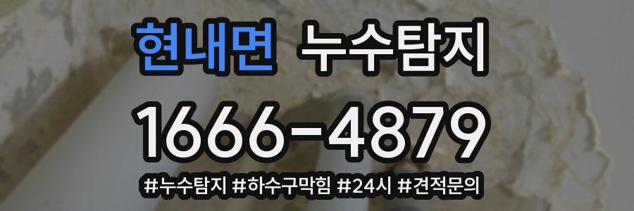 누수닥터 누수탐지