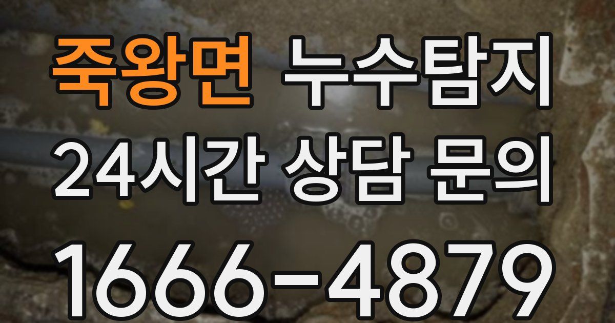 하수구막힘