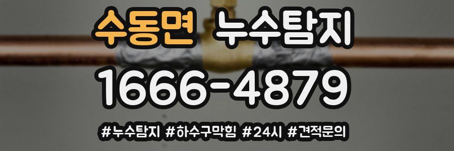 누수닥터 누수탐지