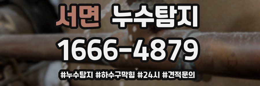 누수닥터 누수탐지