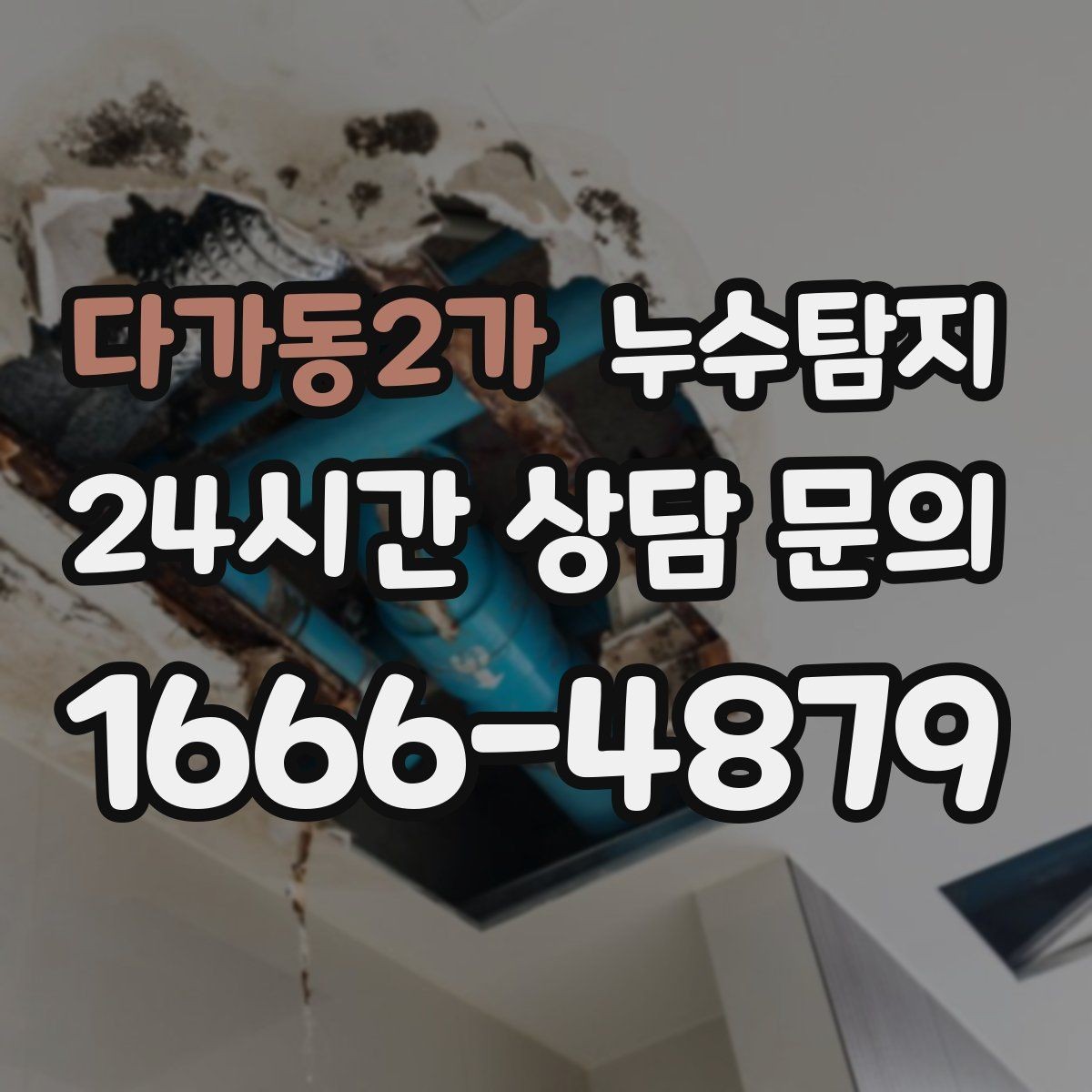 다가동2가 누수탐지 방수 하자 판정과 보수 선택기
