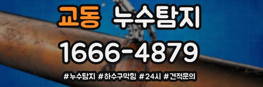 누수닥터 누수탐지