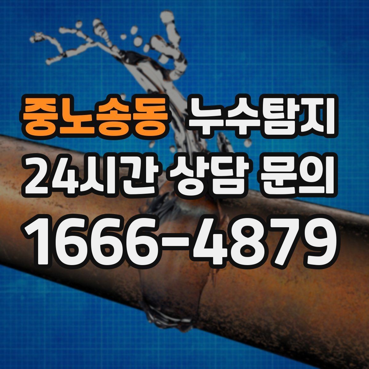 중노송동 누수탐지 반지하 습기 문제가 발생했다면