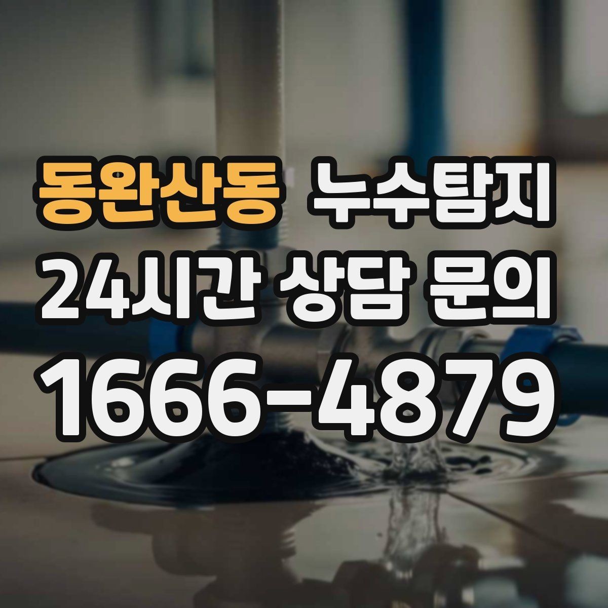 동완산동 누수탐지 공사 후 재발을 막는 사후 관리