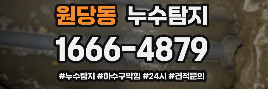 누수닥터 누수탐지
