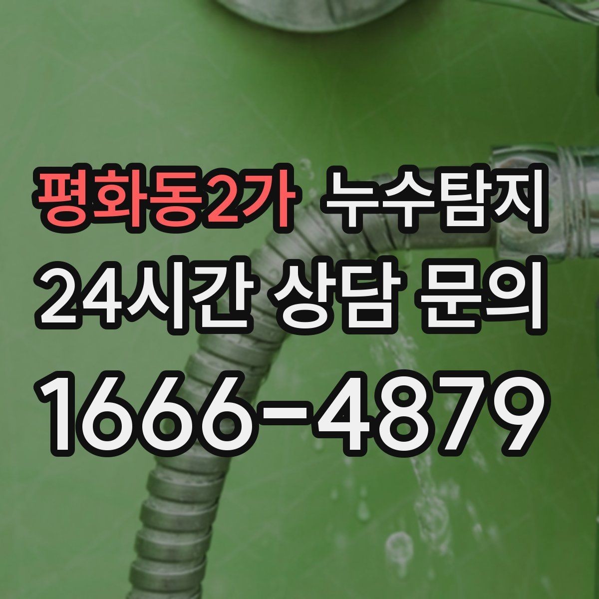 평화동2가 누수탐지 카페 천장 얼룩 복구 경험담