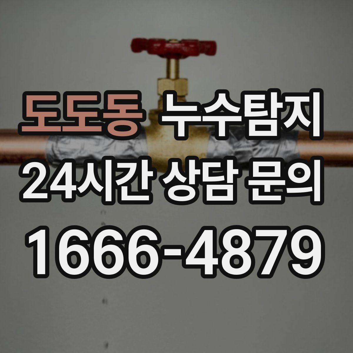 도도동 누수탐지 장마철 대비 방수 점검