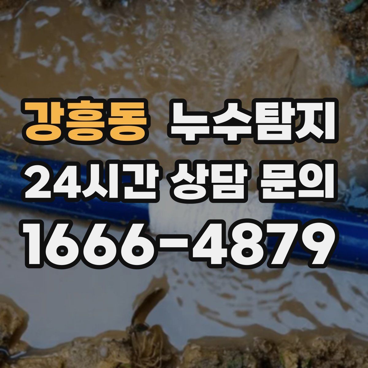 강흥동 누수탐지 보고서로 깔끔하게 보상 받기
