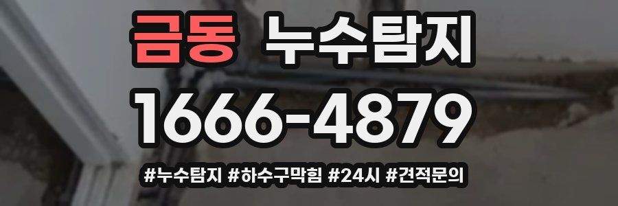 누수닥터 누수탐지