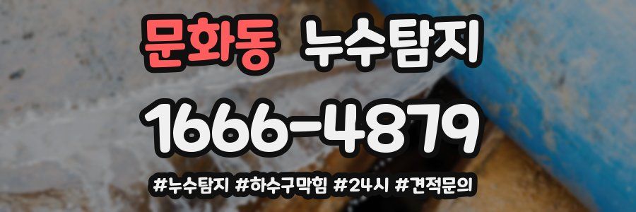 누수닥터 누수탐지