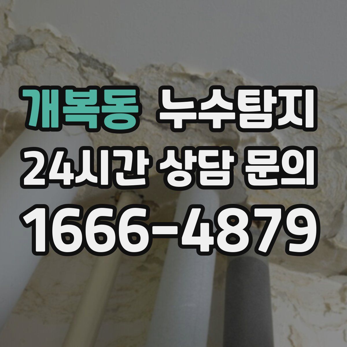 누수탐지