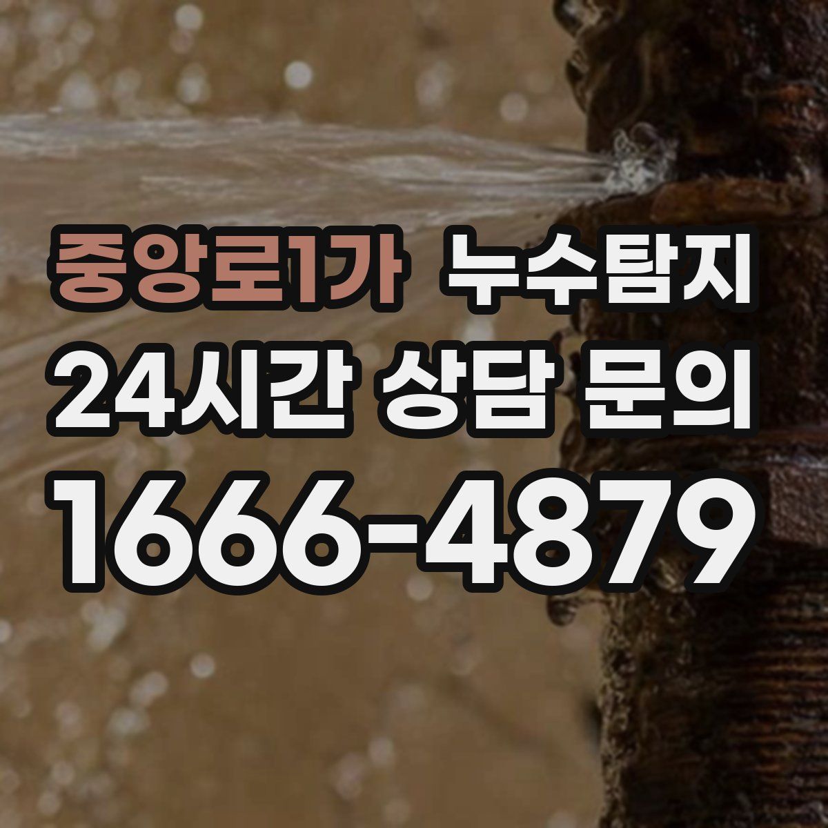 누수탐지