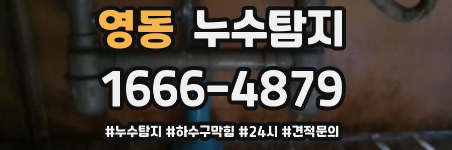 누수닥터 누수탐지