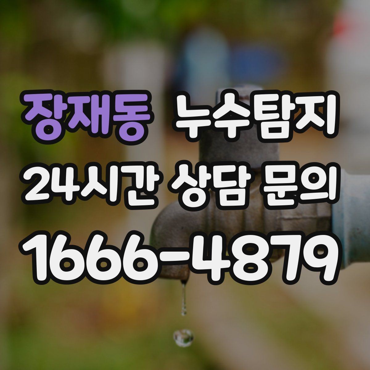 장재동 누수탐지 사진과 영상 데이터로 믿는 진단