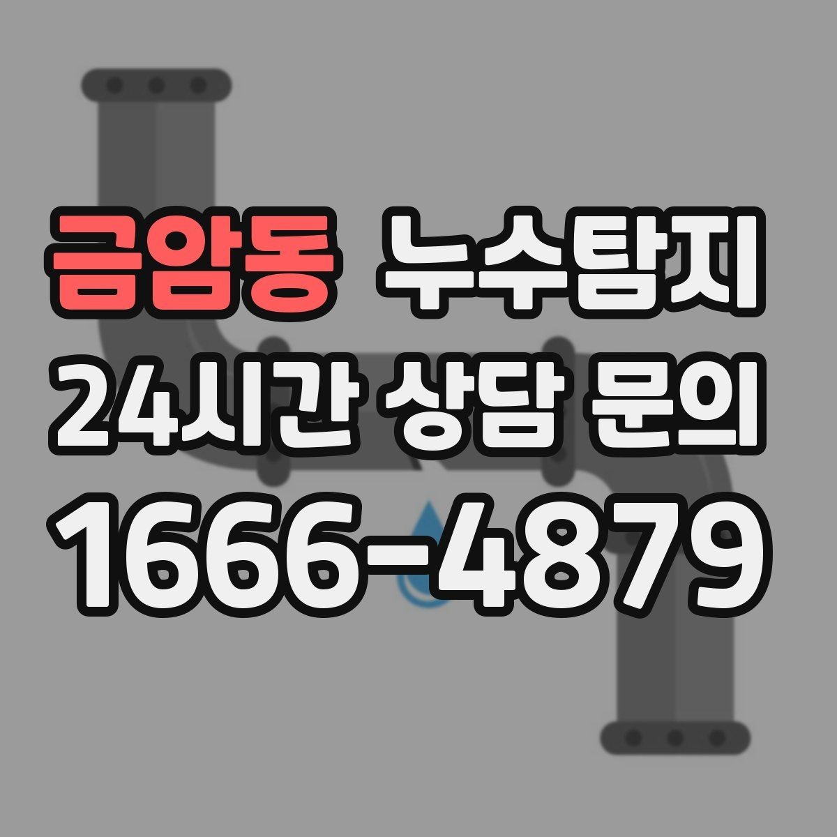 금암동 누수탐지 난방 배관 열 손실 진단