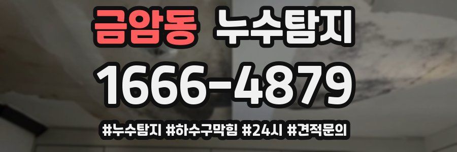 누수닥터 누수탐지