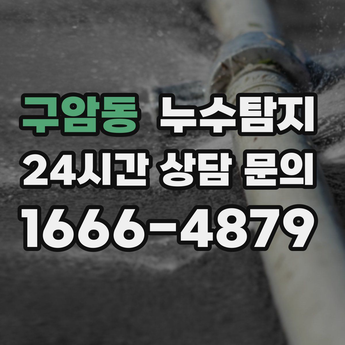 누수탐지