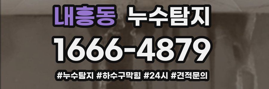 누수닥터 누수탐지
